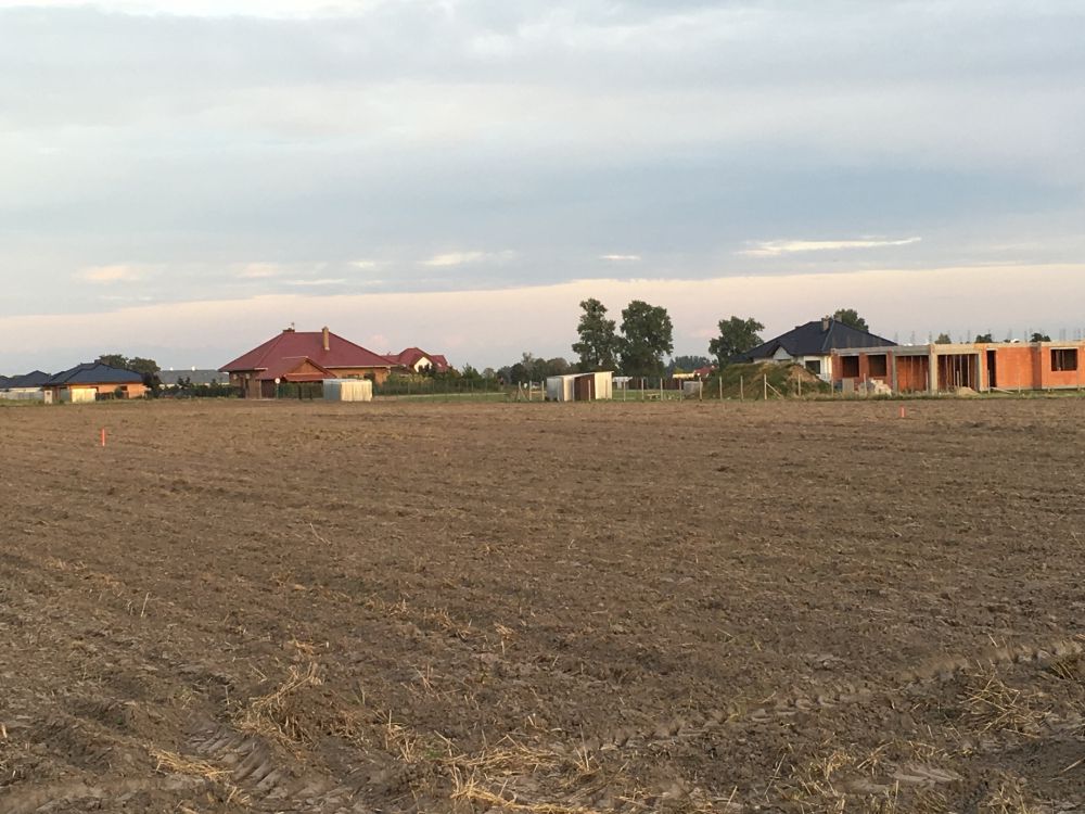 Na razie jest ściernisko:) Na razie jest ściernisko:)